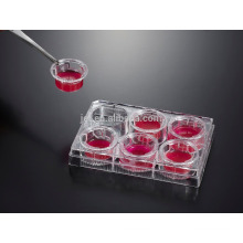 Tissue Culture Plate Inserts